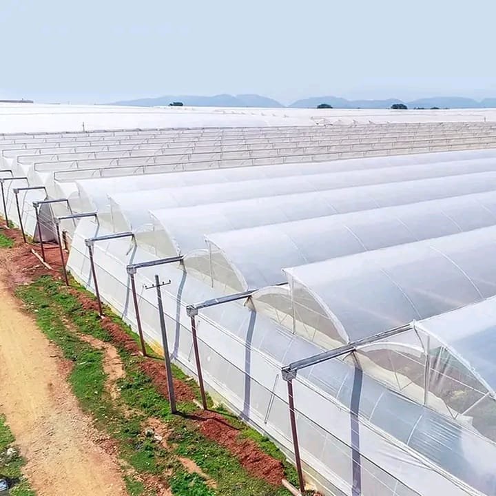 WhatsApp Image 2025-11-12 at 2.04.40 PM