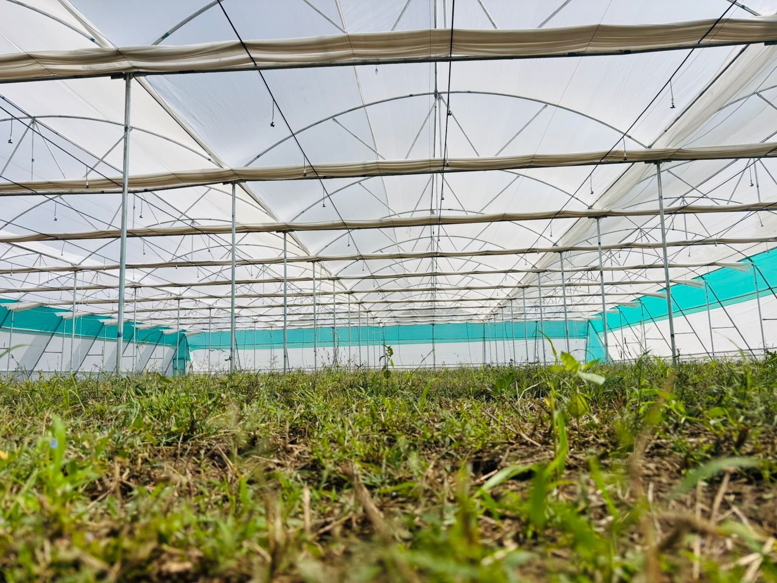 WhatsApp Image 2025-11-12 at 4.35.11 PM