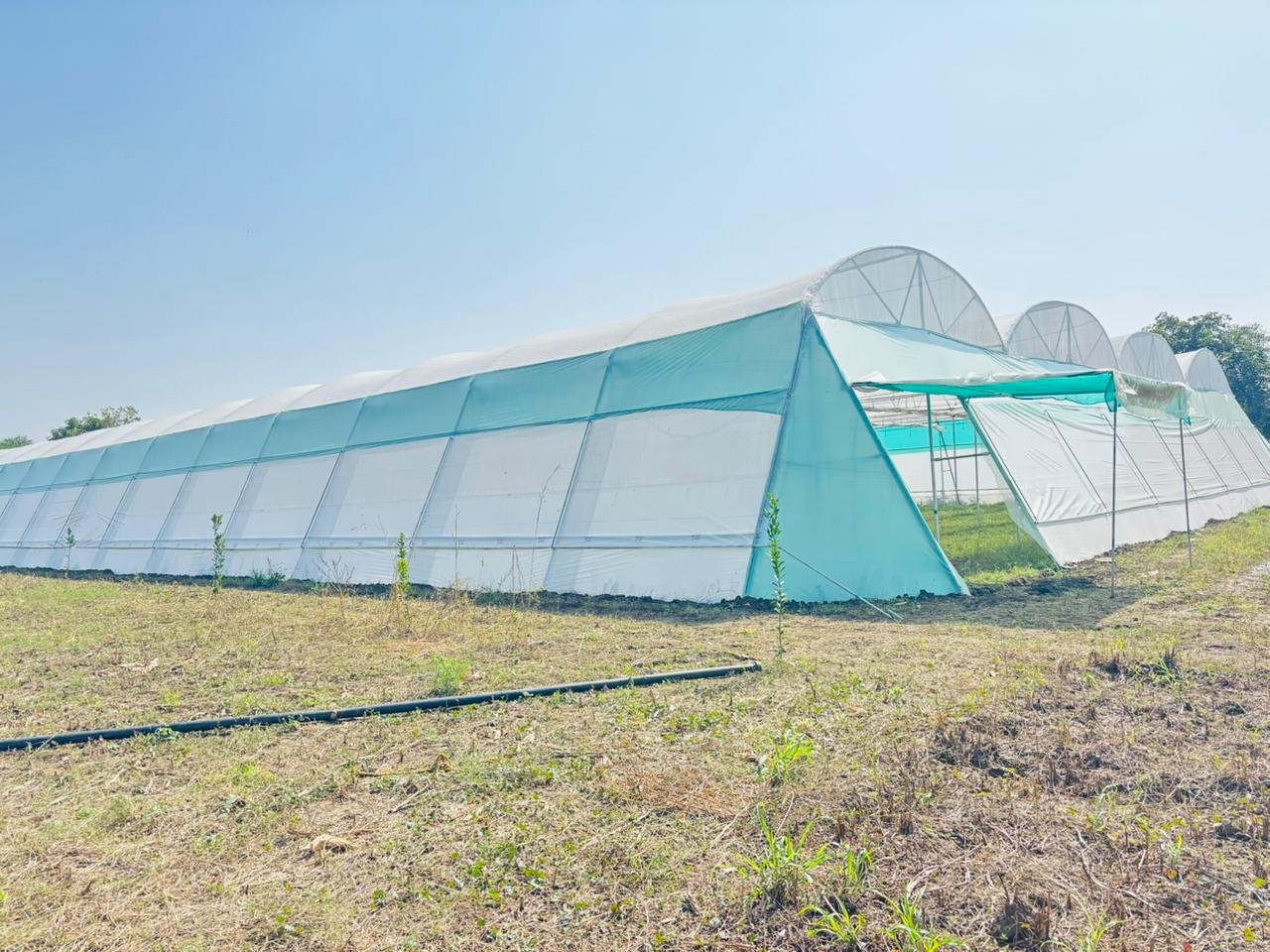 WhatsApp Image 2025-11-12 at 4.35.20 PM