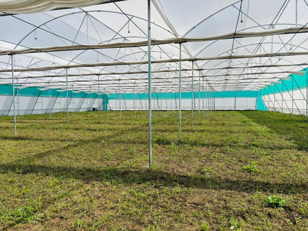 WhatsApp Image 2025-11-12 at 4.35.23 PM