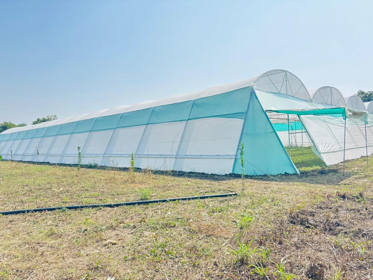 WhatsApp Image 2025-11-12 at 4.35.25 PM