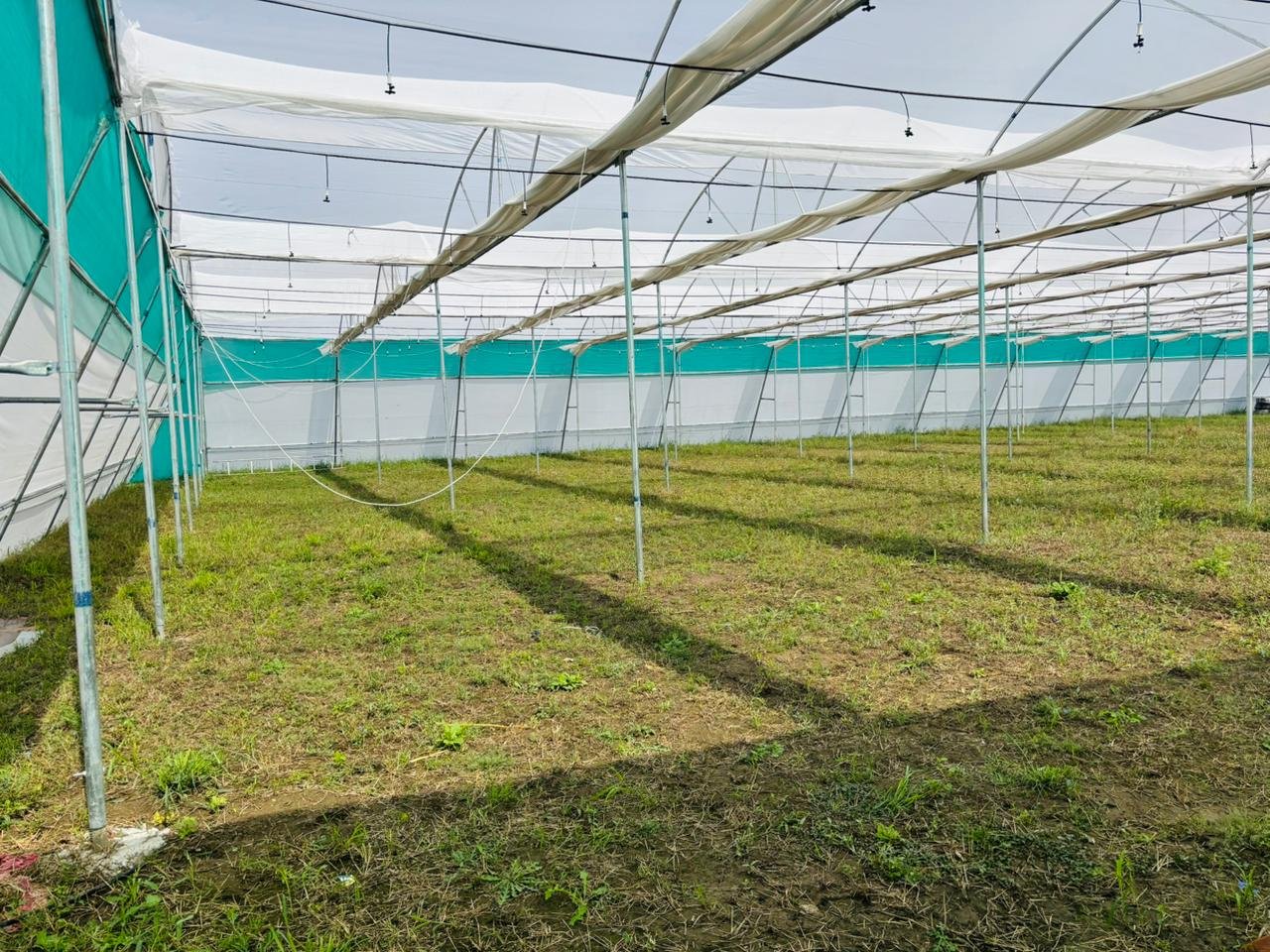 WhatsApp Image 2025-11-12 at 4.35.26 PM