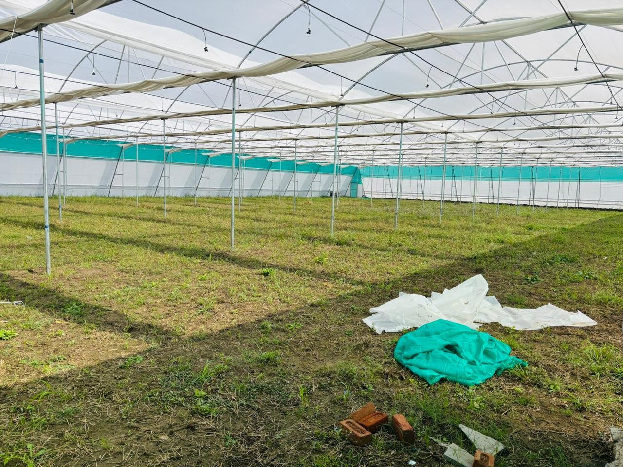 WhatsApp Image 2025-11-12 at 4.35.34 PM