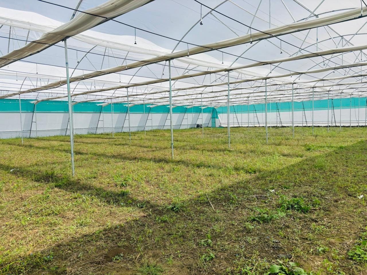 WhatsApp Image 2025-11-12 at 4.35.36 PM