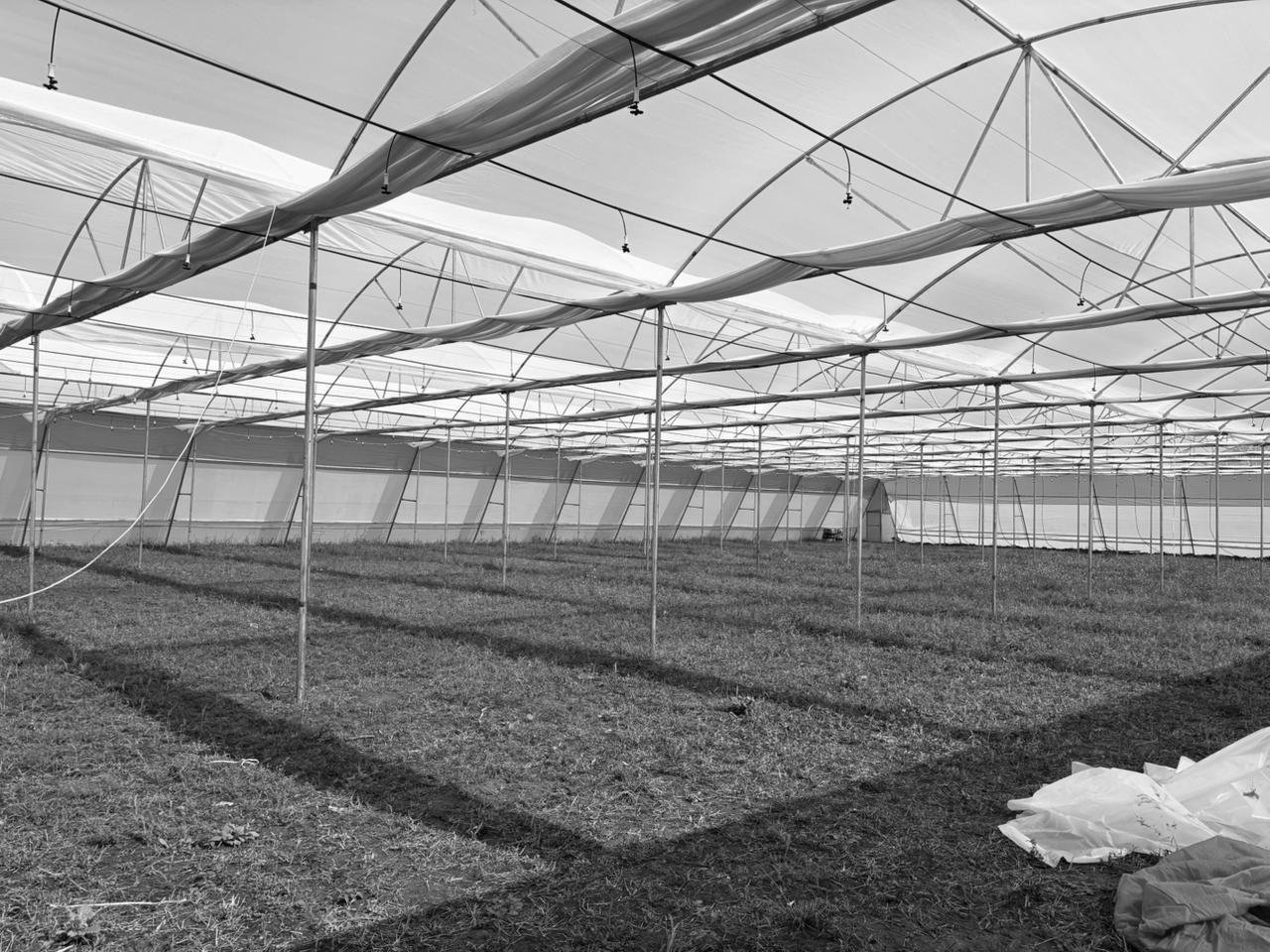 WhatsApp Image 2025-11-12 at 4.35.38 PM