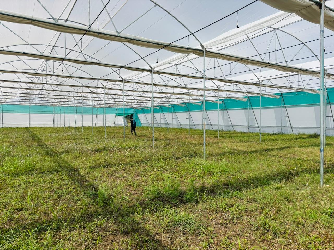 WhatsApp Image 2025-11-12 at 4.35.46 PM